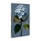 Stupell Industries Delicate Blue Hydrangea Canvas Wall Art Design by Elizabeth Medley